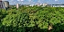 Сдаётся 3-комнатная квартира, Минск, Каховская ул., 17 - фото 10 