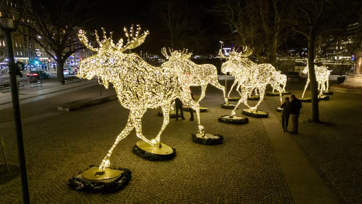 20_1_Рождественские_огни_в_Стокгольме.jpg 20_1_Рождественские_огни_в_Стокгольме.jpg