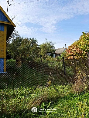 дача, Елочка - фото 8 