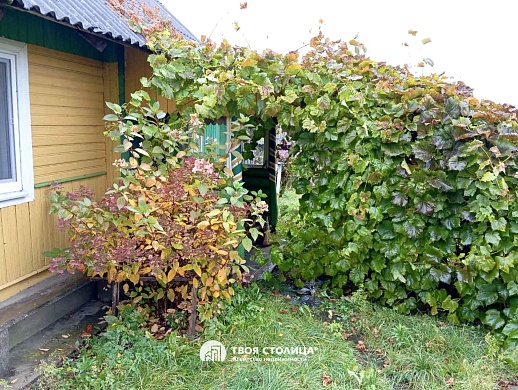 дом, Узболоть - фото 3 