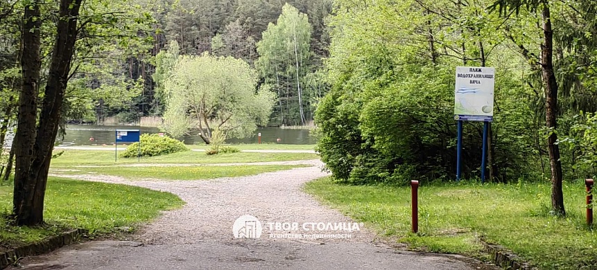 дом, Дофаренция - фото 50 