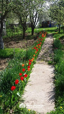 дача, ЗОЛОТОЙ КОЛОСОК - фото 5 