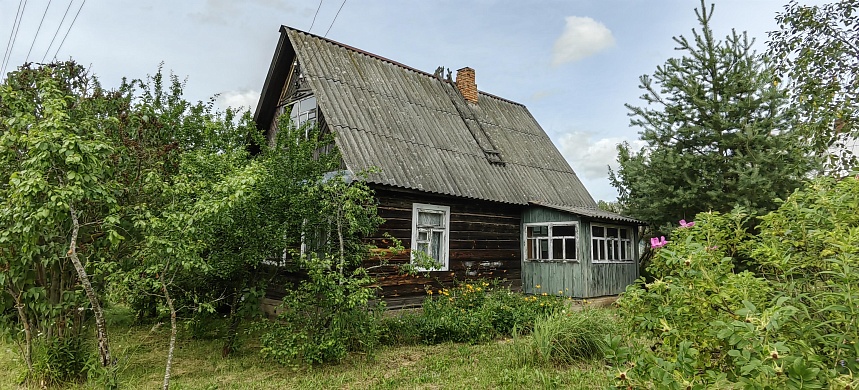 дача, Домашаны - фото 9 