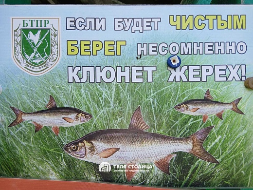 дом, Рудевичи - фото 17 