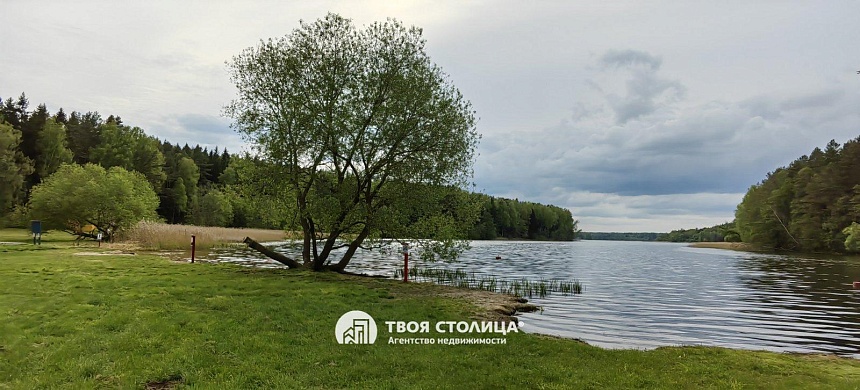 дом, Дофаренция - фото 53 