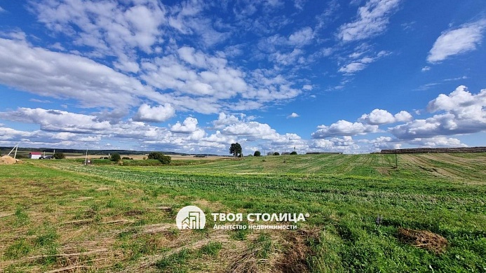 участок, Сосновая - фото 1 