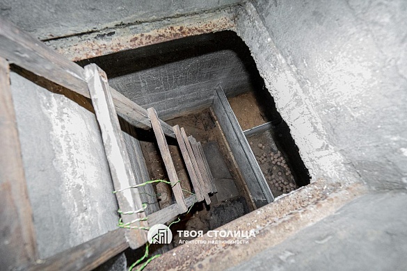 дача, Репортер - фото 27 