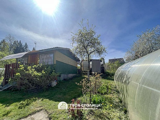 дача, Пралески - фото 3 