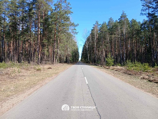 дом, Верейцы - фото 22 