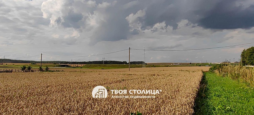 дом, Залужье - фото 33 