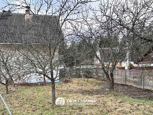 дача, Белая березка - фото 19 