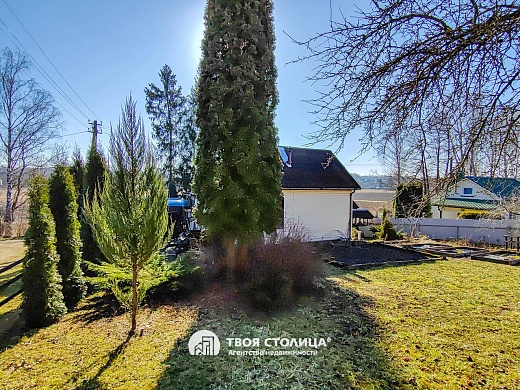 дача, Крыжовка - фото 20 