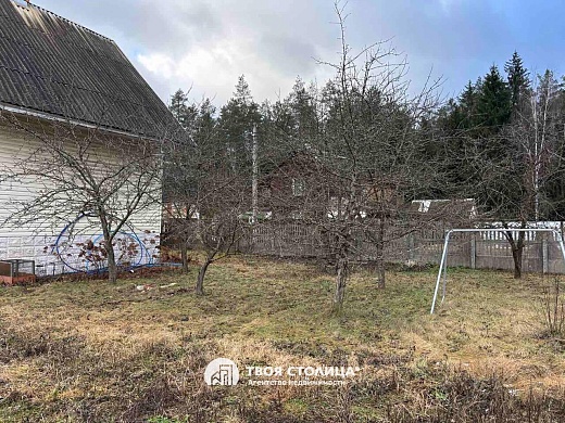 дача, Белая березка - фото 17 