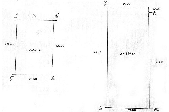 дача, Беларучи - фото 15 