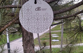 Продажа  квартиры, Колодищи, Березовая Аллея ул., 6