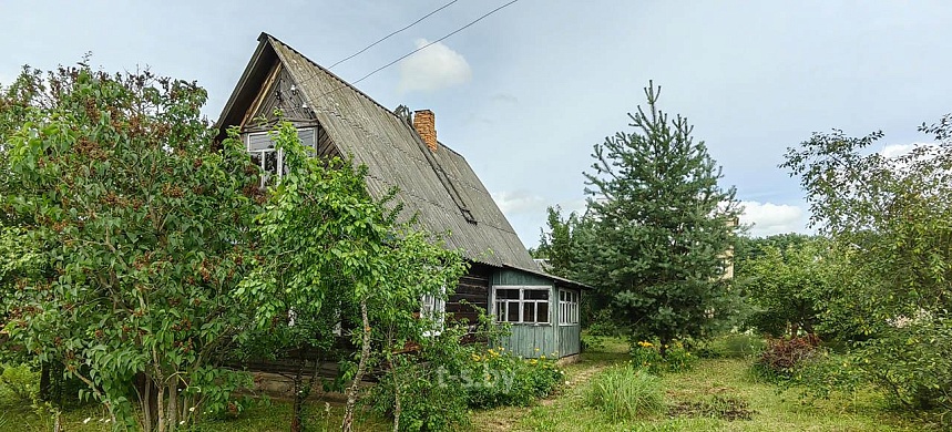 дача, Домашаны - фото 15 