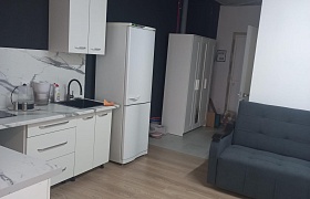 Сдается однокомнатная квартира, Минск, Жореса Алферова, 11 за 386 у.е.