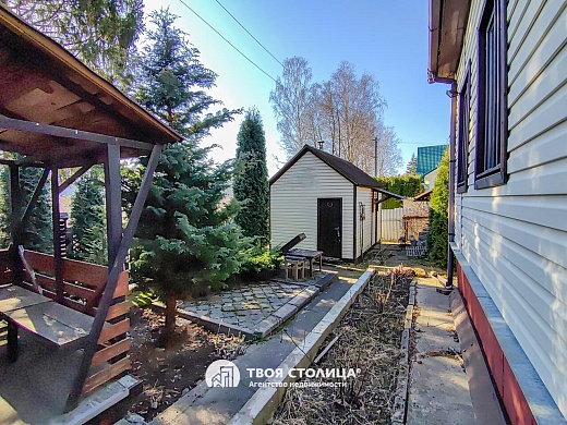 дача, Крыжовка - фото 17 