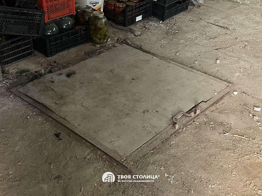 дача, Домашаны - фото 33 