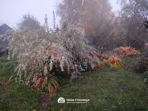 дом, Комаровка - фото 10 