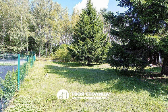 дача, Белая сирень - фото 39 