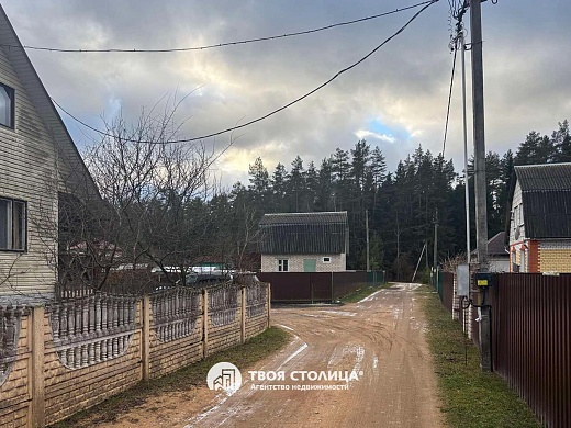 дача, Белая березка - фото 24 