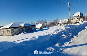 коттедж, Дзержинский район, Василевщина