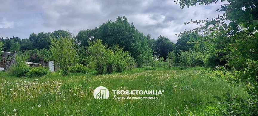 полдома, Ислочь - фото 6 
