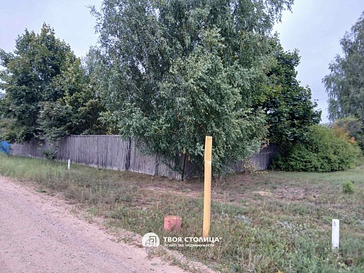 дом, Верейцы - фото 9 