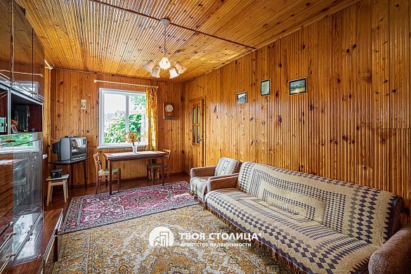 дача, Репортер - фото 7 