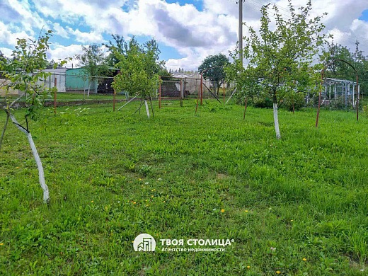 дача, ПАВЛОВО - фото 15 