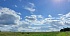 участок, Сосновая - фото 3 