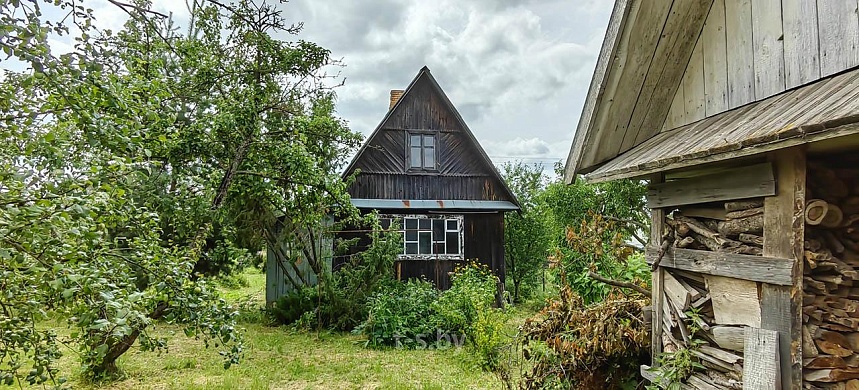 дача, Домашаны - фото 12 