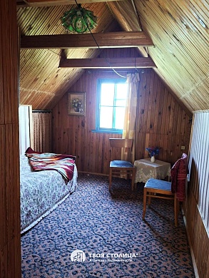 дача, Елочка - фото 4 