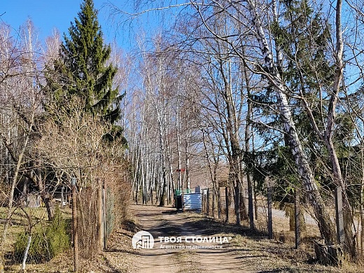 дача, Крыжовка - фото 29 