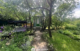 дача, Минский район, Подшипник
