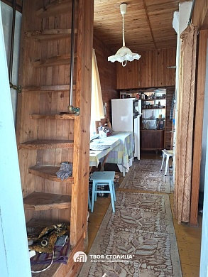 дача, Елочка - фото 3 