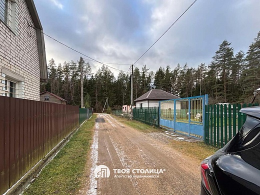 дача, Белая березка - фото 22 