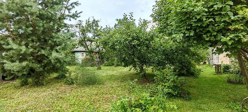 дача, Домашаны - фото 14 