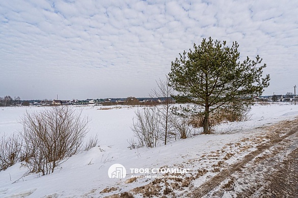 дом, Волма - фото 35 