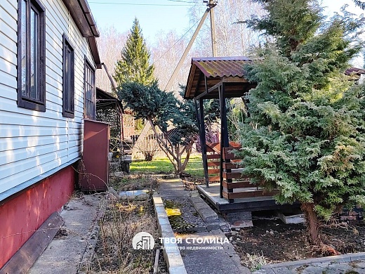 дача, Крыжовка - фото 14 