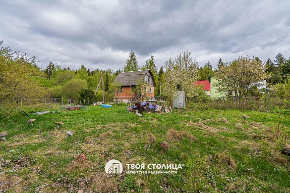 дача, Петришки - фото 8 