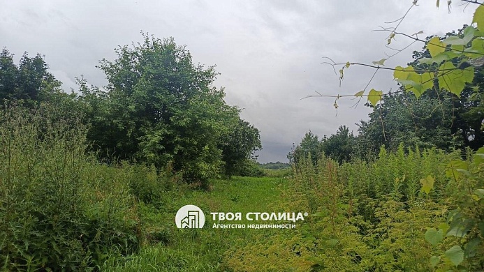  50.2 м2, Курганье