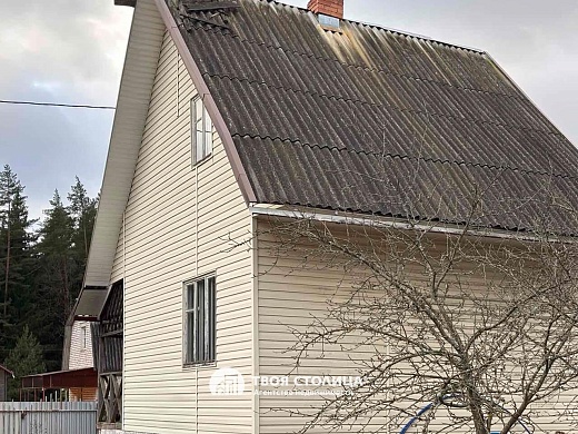 дача, Белая березка - фото 1 