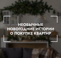 Необычные новогодние истории о покупке квартир. Рассказывают агенты. 