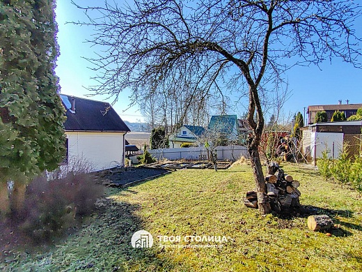 дача, Крыжовка - фото 21 