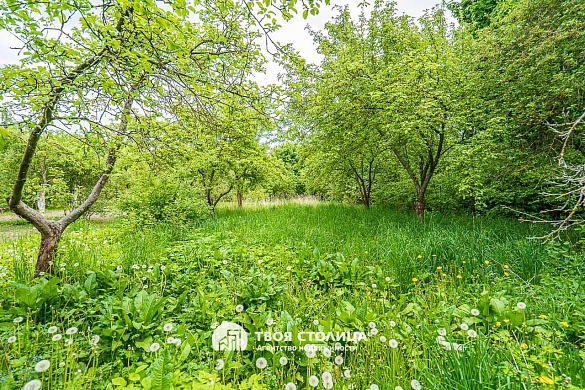 полдома, Минск - фото 25 