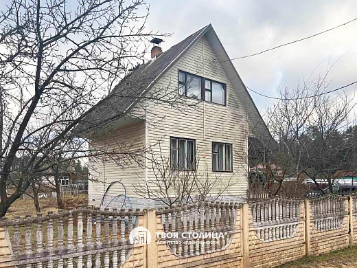 дача, Белая березка - фото 2 