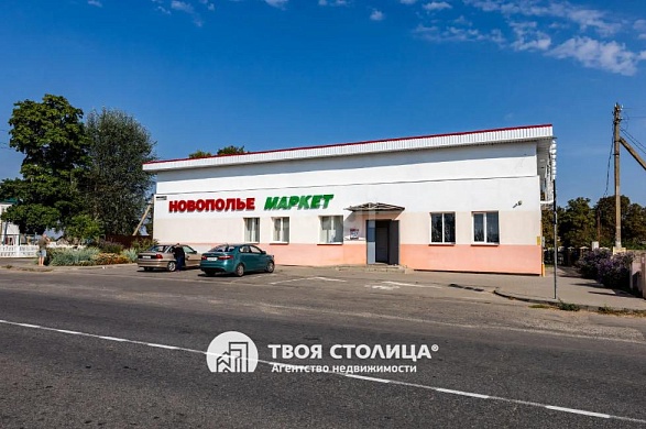 дом, Новополье - фото 14 