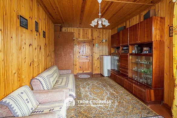 дача, Репортер - фото 10 